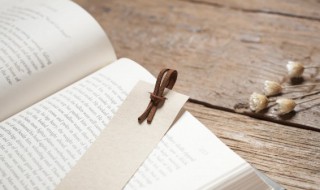 描写乡村的词语(描写乡村的词语二字词语)