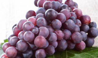 姬松茸不能和什么一起煲汤（姬松茸不能和什么一起煲汤能和香菇灵芝）