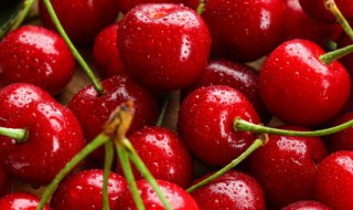 车厘子保存一周需不需要放冰箱（车厘子保存一周需不需要放冰箱里）