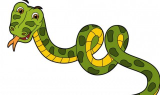 女人梦见被蛇追咬预示着什么(女人梦到被蛇追咬)