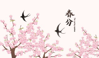 2022年春分的具体精确时辰怎么计算（2020年春分是哪一天几点几分）