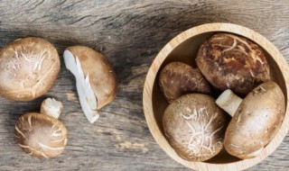 湿香菇在太阳下晾干可以吗（湿的香菇可以在太阳下晒吗）