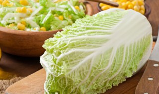 白菜品种 白菜品种哪个好