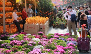 冬天养殖蟹爪兰的禁忌(冬天适合养蟹爪兰吗)