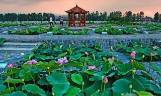 南充一日游必到景点 南充一日游必到景点梦里水乡