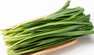 阳台韭菜怎么种 阳台韭菜怎么种植方法视频