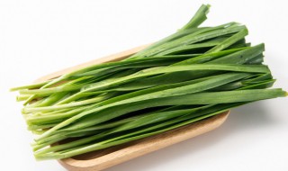 韭菜干尖黄叶怎么办（韭菜叶黄尖干是什么原因）