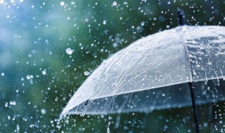 为什么下雨后蚯蚓都会跑出来（为什么下雨天蚯蚓会跑出来）