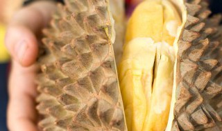 为什么榴莲被称为果王 榴莲为什么被誉为水果之王