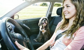 汽车长时间停放没法打火怎么办（车辆停放时间长了打不着火）