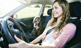 汽车停车打开双闪能持续多长时间(车辆双闪能开多久)