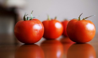 阳台西红柿的种植步骤（阳台西红柿的种植方法和时间）