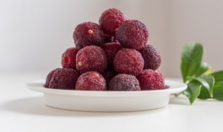 杨梅之乡仙居是哪里（中国杨梅之乡在哪里）