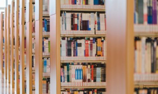 中国杂技之乡是哪里(杂技之乡有几个)