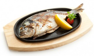 煮熟的鱼如何保存多久（煮熟鱼能保鲜保存多久）