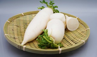 香菇能和白萝卜一起吃吗（香菇能不能和白萝卜一起吃）