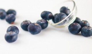 阳台蓝莓的种植方法 阳台盆栽蓝莓