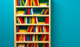 拍的组词(拍的组词一年级下册)