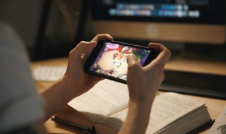 植物大战僵尸怎么取消全屏（电脑版植物大战僵尸怎么退出全屏）