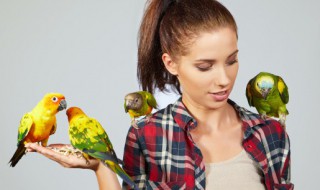 世界上最小的鹦鹉是什么鹦鹉 最大的鹦鹉是什么鹦鹉