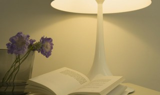 两个人头中间一个理字打一成语(两个人头是什么成语)