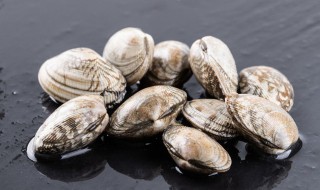 花蛤炒几分钟能熟 花蛤要炒几分钟熟