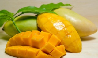 芒果能放冰箱吗保存多长时间 芒果放冰箱里保存多久