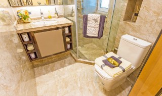 去除厕所异味方法有哪些 十个去除厕所异味的方法