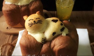 面包机做面包要注意什么 面包机要怎么用