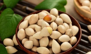 白果用微波炉烤几分钟(白果可以直接放微波炉烤吗)