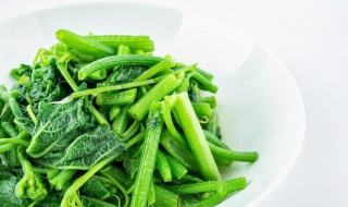 蔬菜多长时间浇一次水 种菜一天要浇几次水