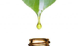 植物油包括哪些类型（植物油都包括哪些）