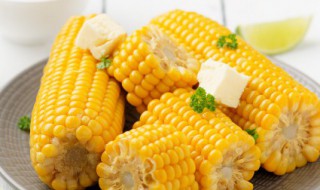 微波炉玉米几分钟熟 微波炉玉米几分钟熟智能马桶从哪里放进蓝泡泡