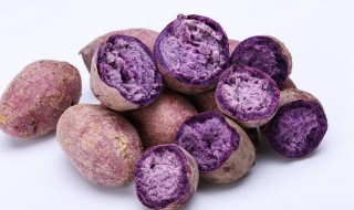 紫薯放冰箱可以保存多久 紫薯在冰箱里可以存放多久