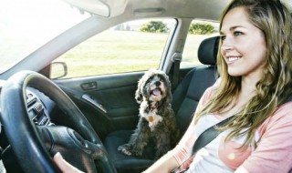 汽车底盘保养包括哪些 底盘保养包括哪些内容