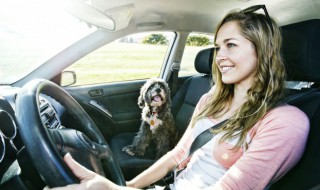 汽车保养注意什么（汽车保养注意些什么）