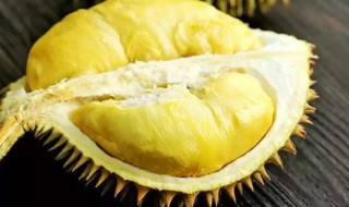 金枕榴莲产地哪里 中国金枕榴莲产地哪里