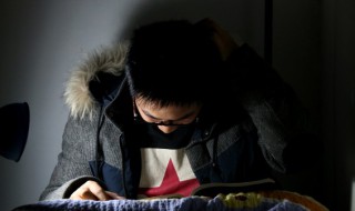 杏组词语 杏组词语词