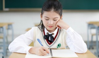 桃花扇经典名句 桃花扇经典名句解释