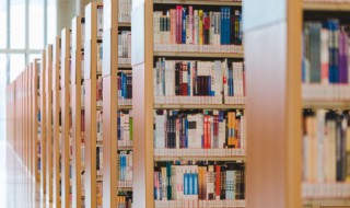 健的词语 形容强健的词语