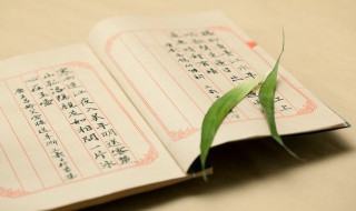 相字组词（相字组词有哪些）