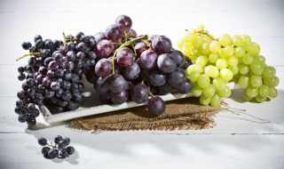 葡萄枝什么时候剪枝 葡萄枝几月份剪枝