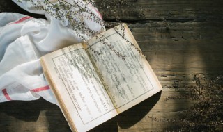 月出皎兮佼人僚兮是什么意思 月出皎兮佼人僚兮僚是什么意思