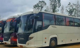 A2证能开大客车吗（A2证能开客车吗）