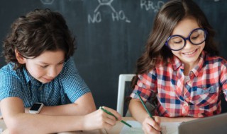 蕨类植物属于什么植物 蕨类植物属于什么植物类群