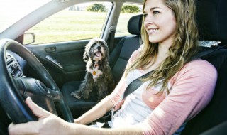 刹车油多长时间换一次（奥迪a6刹车油多长时间换一次）