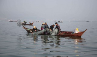渔民出海捕鱼一次要多长时间 近海捕鱼一般多久回来一次