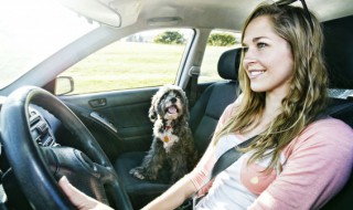 三元催化多久更换一次（三元催化一般多久换一次）