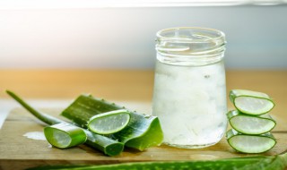 芦荟面膜的功效与作用 绿茶芦荟面膜的功效与作用