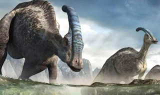 暴龙曾吃过葡萄枝叶吗 暴龙曾啃吃过葡萄枝叶吗